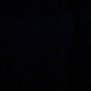 Meet your Posher, Sidney